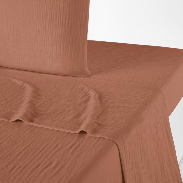 Terre de Sienne