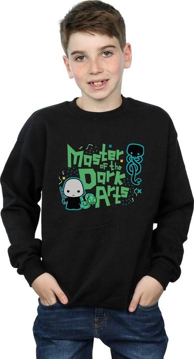 Image du produit - Sweat VOLDEMORT DARK ARTS JUNIOR - Garçon (116)