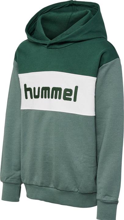 hummel hmlMORTEN HOODIE