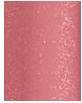Image du produit Dior Addict Lip Maximizer (012 Bois de rose)