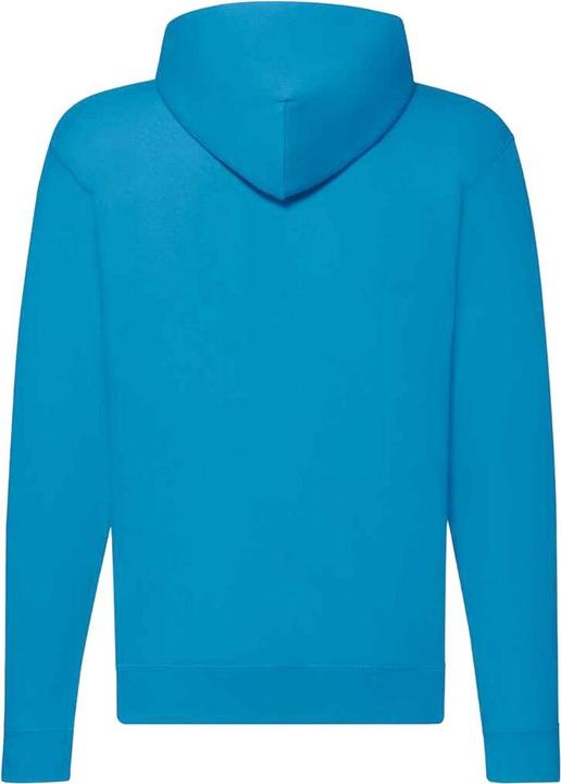 Actual product image Fruit of the Loom Unisex Adult Classic Hoodie (XL)