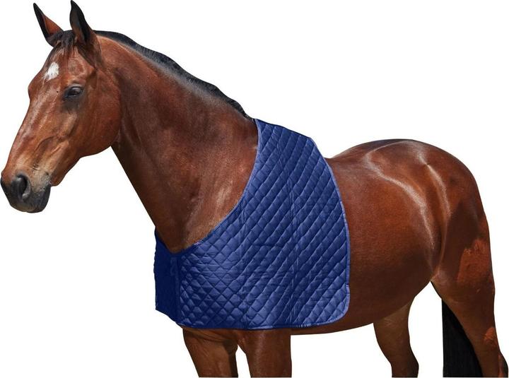 Actual product image Weatherbeeta Deluxe