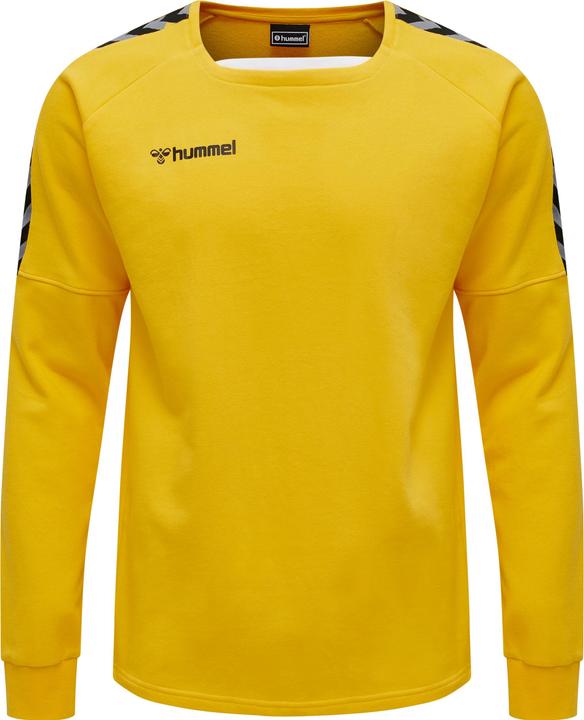 Image du produit hummel Sweat D'Entraînement Authentique (M)