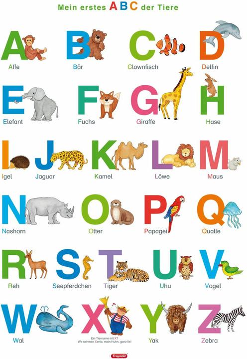 Immagine prodotto Poster didattico dell'orso della domanda: Il mio e.ABC d.Animale (Tedesco)