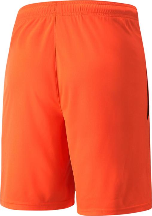 Actual product image Puma teamLIGA Shorts-704924 (3XL)