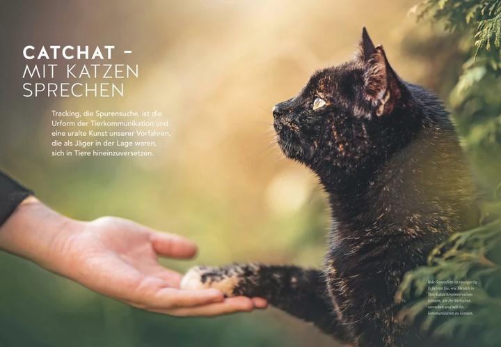 Actual product image Was will mir meine Katze sagen? (German, Helke Brandt, 2023)