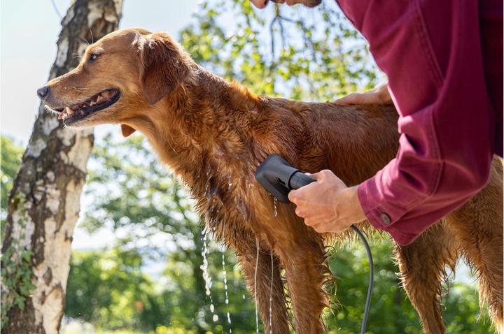 Actual product image Kärcher Washing brush for animal hair