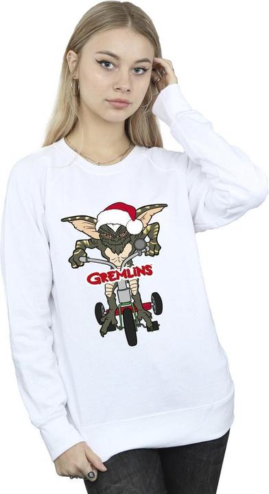 Image du produit Universal Textiles - Sweat BIKE LOGO - Femme (S)