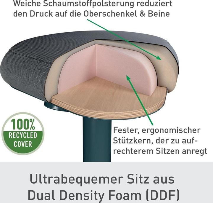 Actual product image Leitz Ergo Active
