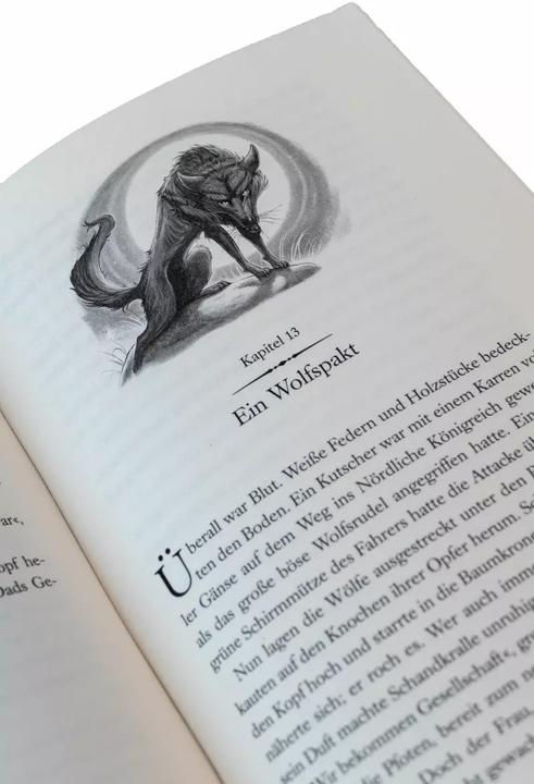 Image du produit Land of Stories: Das magische Land 1 – Die Suche nach dem Wunschzauber (Allemand, Fabienne Pfeiffer, Brandon Dorman, Chris Colfer, 2019)