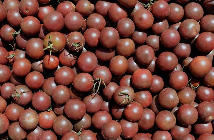 Produktbild Living Seeds Kirschtomate, black Cherry (Gemüsesamen)