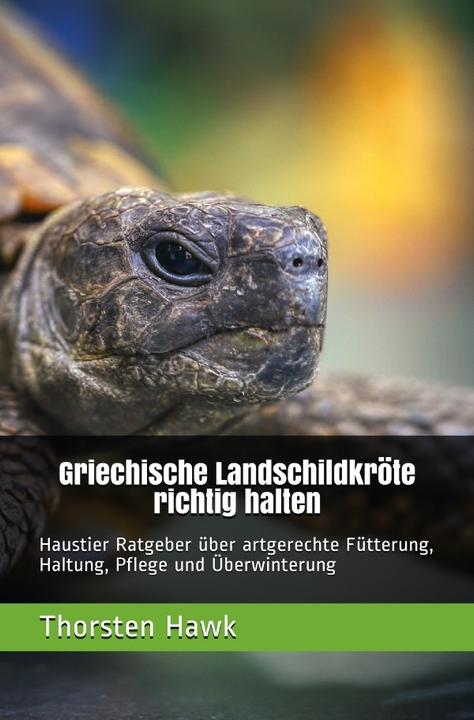 Image du produit Hawk:Tortue grecque correctementti