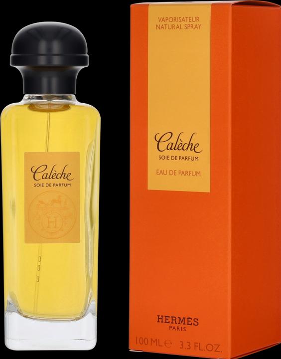 Image du produit Hermès Soie de Parfum (Eau de parfum, 100 ml)