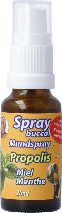 Image du produit Bioligo Spray buccal Père Michel Propolis (20 ml, Vaporisateur buccal)