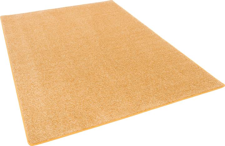 Immagine prodotto Snapstyle Tappeto a pelo lungo Cottage (133 x 133 cm)