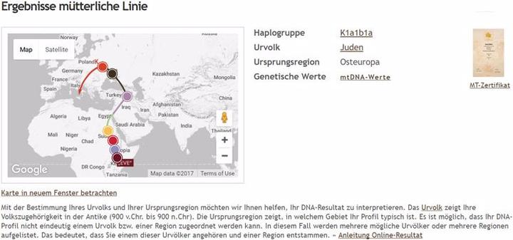 Produktbild iGenea DNA-Herkunftsanalyse Premium