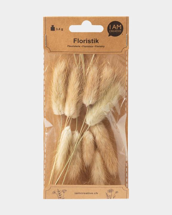 Actual product image I Am Creative Dried flowers Lagurus (Dried flowers)