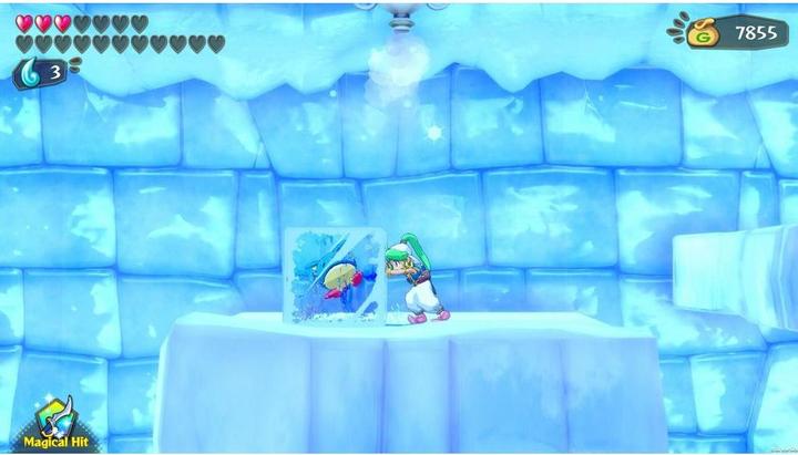 Immagine prodotto ININ Games Wonder Boy: Asha in Monster World (Switch, Switch Lite, Switch OLED, DE)