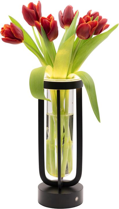 Actual product image Securit Florence (50 lm)