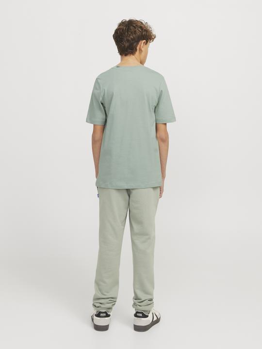 Produktbild Jack & Jones JJELOGO TEE SS ONECK 2COL 24/25 NOOS JNR (152)
