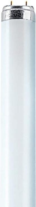Produktbild Osram Röhre (G13, 15 W, 950 lm, 1 x, G)