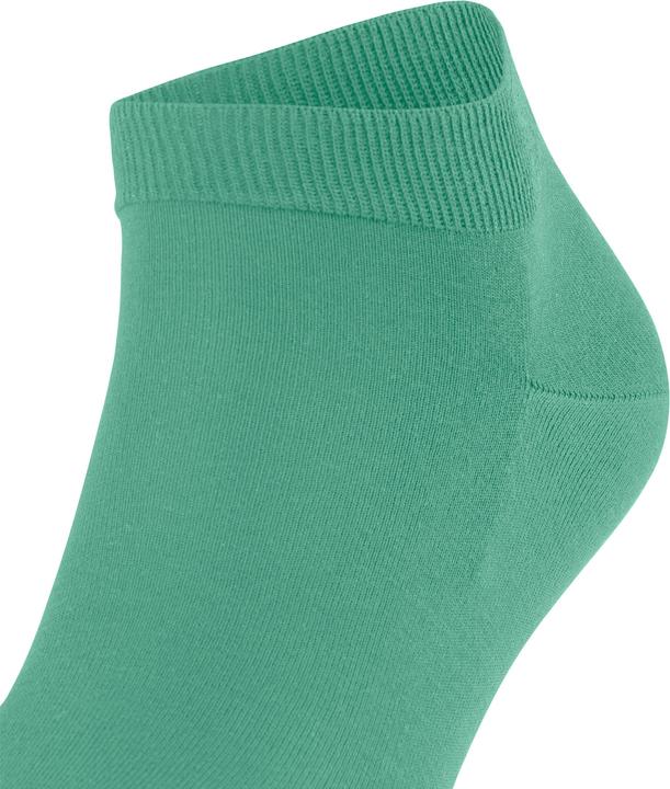 Image du produit Falke ClimaWool Hommes (41 - 42)