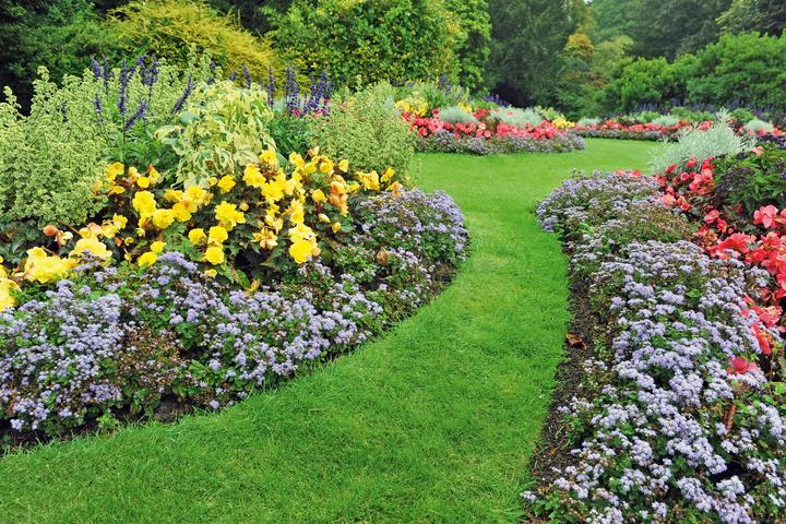Actual product image Cellfast Lawn edge straight 10cm high and 9m long (900 cm)