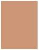 Actual product image Wet n Wild ML Incognito All Day Conceal 1111902E (Light Medium)