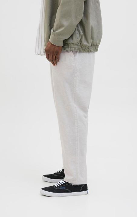 Image du produit Jack & Jones Plus Size Relaxed Fit Relaxed Fit Hosen Relaxed Fit Hosen (42)