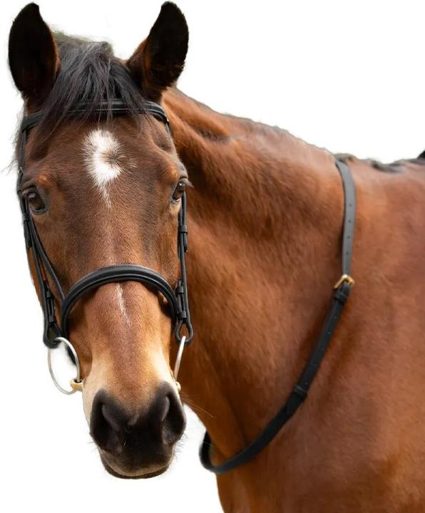 Immagine prodotto Hy Pelle Cinghia da Collo per Cavallo
