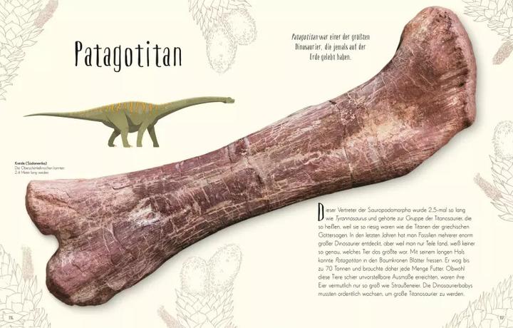 Immagine prodotto Wundervolle Welt der Dinosaurier und der Urzeit (Tedesco, Anusuya Chinsamy-Turan, 2022)