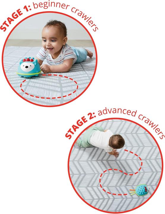 Actual product image Skiphop Explore and More Hello Hedgehog crawling toy