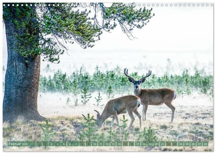Produktbild Atemberaubendes Amerika - Die schnsten Nationalparks im Westen der USA (Wandkalender 2025 DIN A (A5, Deutsch)