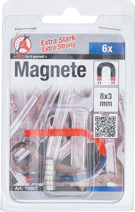 Actual product image BGS Magnet set (6 x)
