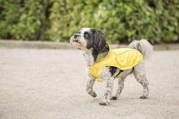 Image du produit Chiara Scotty (L, Manteau pour chien)