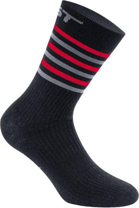 Gist Climatic 5874