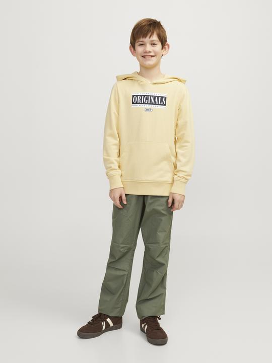 Image du produit Jack & Jones Jorcobin Sweat Hood Jnr (164)