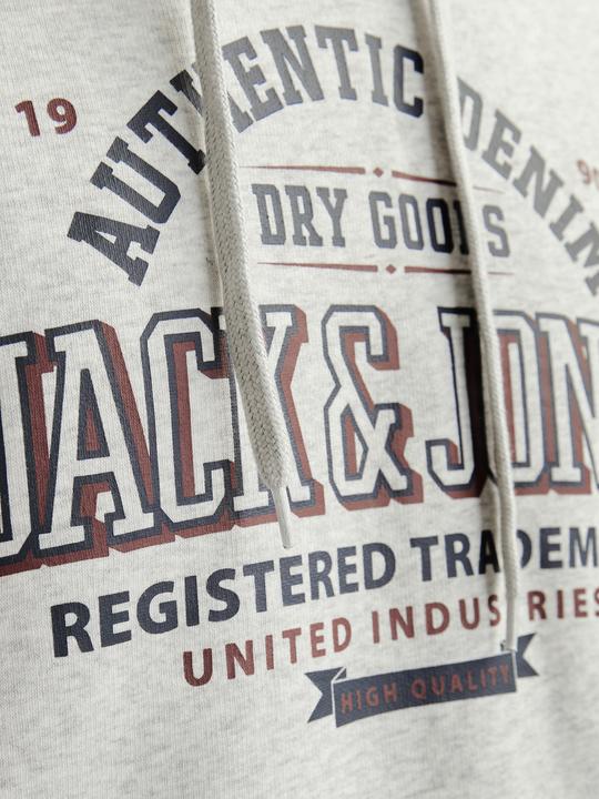 Image du produit Jack & Jones JJELOGO SWEAT HOOD 2 COL 24/25 NOOS (M)
