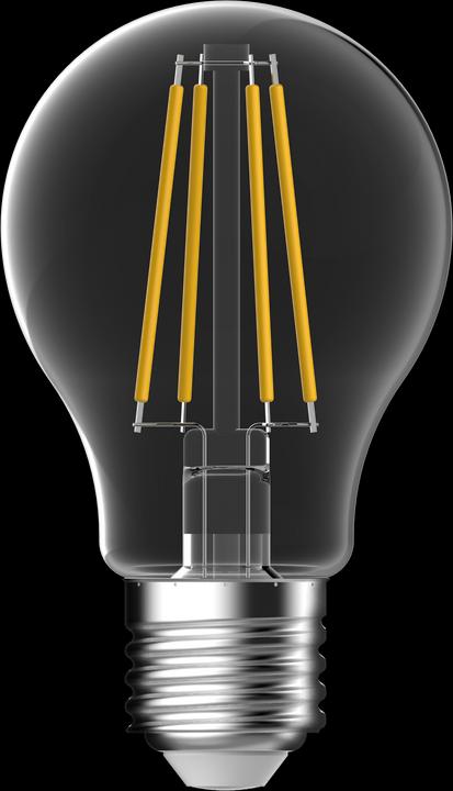 Actual product image GP Lighting Lighting Filament Classic E27 6W (60W) 806 lm (E27, 6 W, 806 lm, 1 x, A)