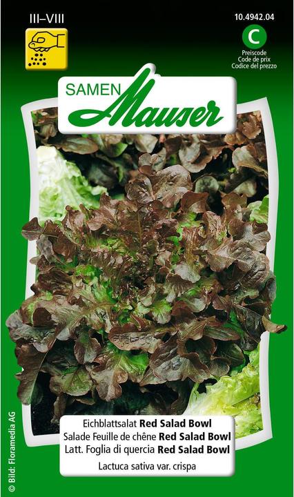 Produktbild Samen Mauser Eichblattsalat Red Bowl (Gemüsesamen)