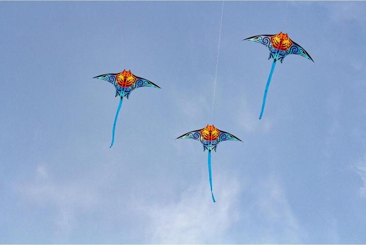 Image du produit Invento Manta Kite