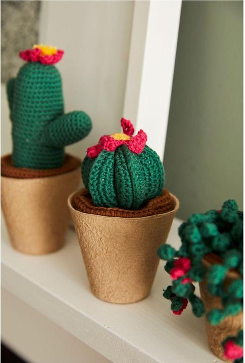 Immagine prodotto DMC Gift of Stitch Set per uncinetto Amigurumi Cactus