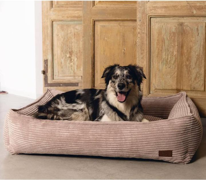 Actual product image Designed by Lotte Ribbed (Dog)