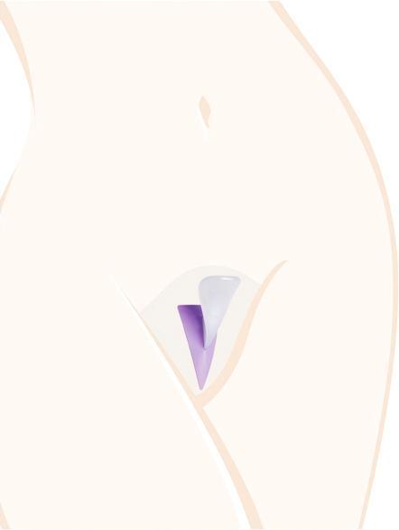 Image du produit Ladyshape Bikini Shaping Tool