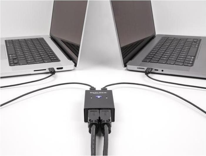 Produktbild Delock USB 2.0 Switch für 2 PC an 4 Geräte