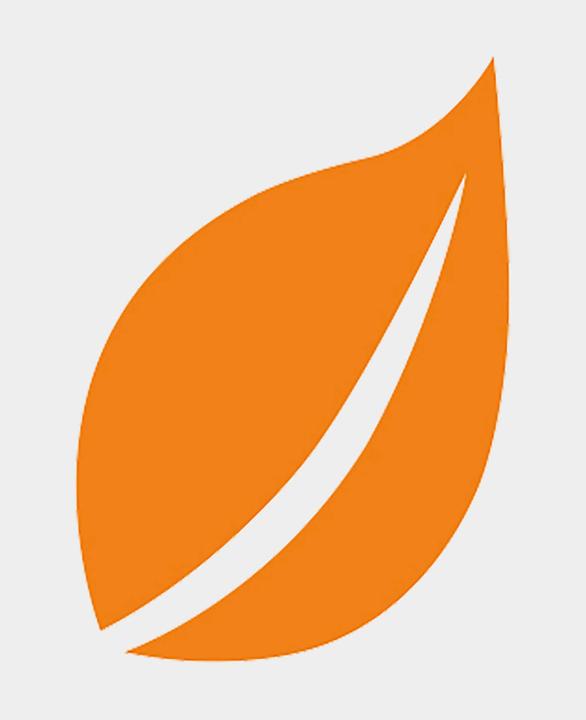 Actual product image Aladine IZINK Decorative acrylic paint (Saffron orange, 80 ml)