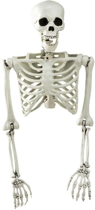 Actual product image Dekomat Halloween figure skeleton torso 1 piece