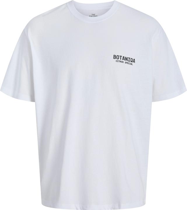 Produktbild Jack & Jones Jorbotaniq Tee Ss Crew Neck Tg Ln (XL)
