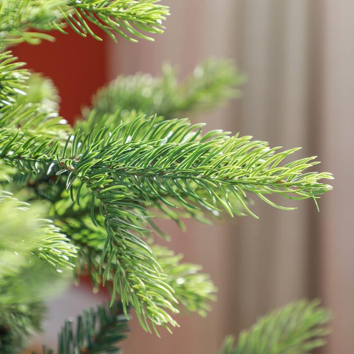 Produktbild Jamb Künstlicher Weihnachtsbaum (180 cm)