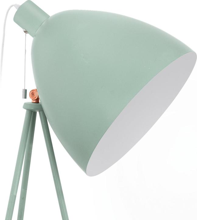 Produktbild EGLO Dundee (E27)
